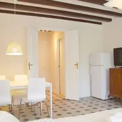 Апартаменты Rent4Days Ramblas Apartments Студия фото 12