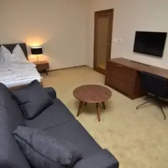 Vetruše Hotel Restaurant 4* Стандартный номер фото 3