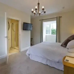 Отель The May Garland Inn 3* Стандартный номер с различными типами кроватей фото 3
