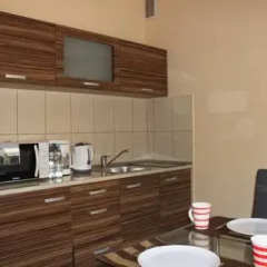 Апартаменты Apartment Central Апартаменты с различными типами кроватей фото 8