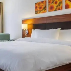 Гостиница Hilton Garden Inn Краснодар (Хилтон Гарден Инн Краснодар) 4* Стандартный номер с различными типами кроватей фото 31