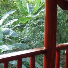Отель Jungle House at Siboya Bungalows Бунгало с различными типами кроватей фото 6