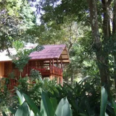 Отель Jungle House at Siboya Bungalows Бунгало с различными типами кроватей фото 14
