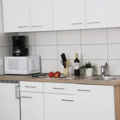 Апартаменты CheckVienna – Apartment Puchsbaumgasse Студия с различными типами кроватей фото 3