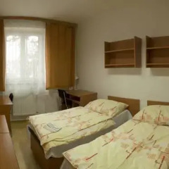 Отель Tauferovy Koleje Стандартный номер