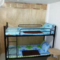 Отель Budget Traveller Inn Кровать в общем номере