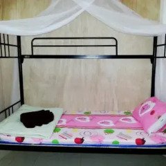 Отель Budget Traveller Inn Номер категории Эконом