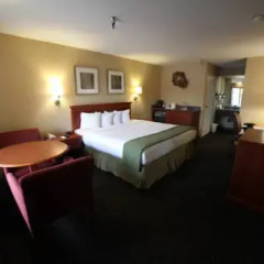 Hotel Le Reve Pasadena 2* Стандартный номер с различными типами кроватей фото 12