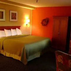 Hotel Le Reve Pasadena 2* Стандартный номер с различными типами кроватей фото 10