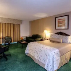 Clarion Hotel Conference Center 3* Стандартный номер