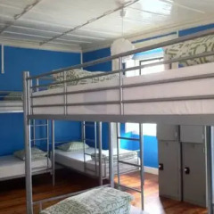 Alface Hostel Кровать в общем номере фото 18