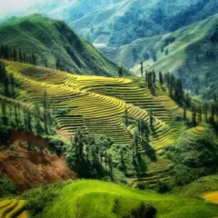 Отель Sapa Rooms Boutique 2* Люкс с различными типами кроватей фото 2
