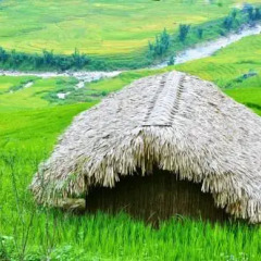 Отель H'mong Mountain Retreat 2* Бунгало с различными типами кроватей фото 8
