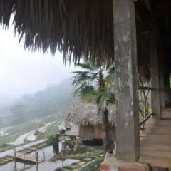 Отель H'mong Mountain Retreat 2* Бунгало с различными типами кроватей фото 14