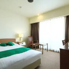Daiichi Grand Hotel Kobe Sannomiya 3* Стандартный номер