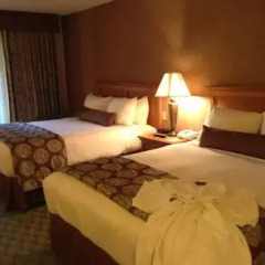 Отель Borrego Springs Resort and Spa 3* Стандартный номер с различными типами кроватей