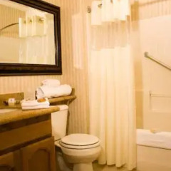 Отель Borrego Springs Resort and Spa 3* Стандартный номер с различными типами кроватей фото 4