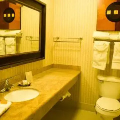 Отель Borrego Springs Resort and Spa 3* Стандартный номер с различными типами кроватей фото 5