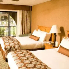 Отель Borrego Springs Resort and Spa 3* Стандартный номер с различными типами кроватей фото 3