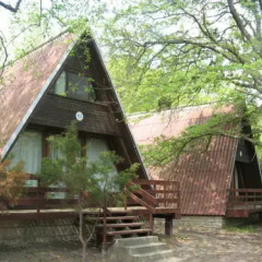 Отель Paradise Bungalows Шале фото 7