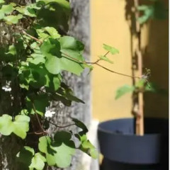 Grapes & Bites - Hostel And Wines Люкс