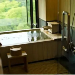 Kinugawa Kanaya Hotel 4* Люкс фото 4