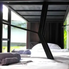 Thrive The Hostel Кровать в общем номере фото 5