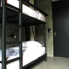 Thrive The Hostel Кровать в общем номере фото 6