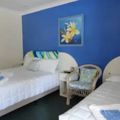 Отель Alstonville Settlers Motel 3* Стандартный номер с 2 отдельными кроватями фото 2