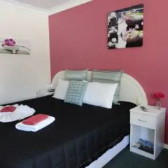 Отель Alstonville Settlers Motel 3* Стандартный номер с различными типами кроватей фото 8