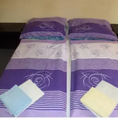 Hostel Kaktus Стандартный номер с 2 отдельными кроватями (общая ванная комната)