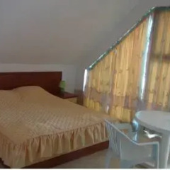 Отель Guest House Ralitsa 3* Люкс с различными типами кроватей фото 29