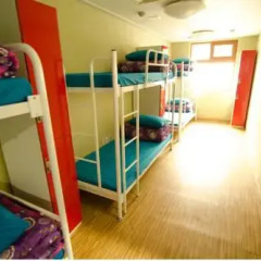 Kimchee Sinchon Guesthouse - Hostel Кровать в общем номере с двухъярусной кроватью фото 38