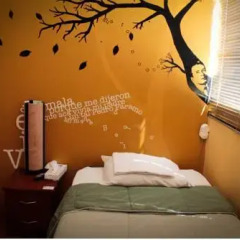 Hostel Hospedarte Chapultepec Стандартный номер фото 5