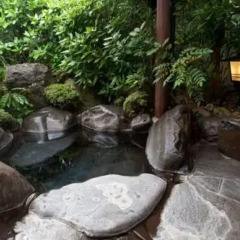 Отель Kaikatei 4* Стандартный номер фото 8