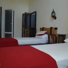 Гостиница Dacha Gorkogo Люкс разные типы кроватей фото 3