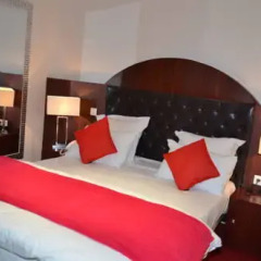 Hotel Regina 3* Стандартный номер с различными типами кроватей