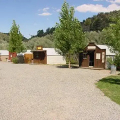 Отель Virginia Creek Settlement 3* Тент