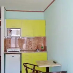 Victor Apartment Hotel 3* Студия с различными типами кроватей фото 10