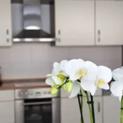 Отель Domapartment Cologne City Altstadt Апартаменты с различными типами кроватей фото 4