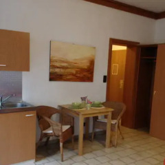 Отель Domizil Wien - Cityapartments Улучшенная студия с различными типами кроватей фото 5