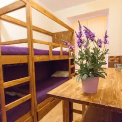 Hostel Home Кровать в общем номере с двухъярусной кроватью фото 5