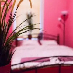Hostel Home Стандартный номер с различными типами кроватей фото 3