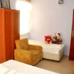 Turcu Motel & Camping Стандартный номер с различными типами кроватей фото 5