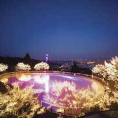 Отель Grand Hyatt Seoul Стандартный номер фото 24
