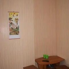 Hostel Druzhba Стандартный номер двуспальная кровать (общая ванная комната) фото 3