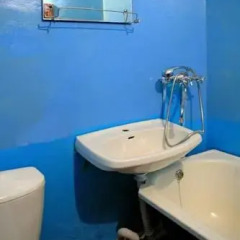 Hostel Druziya Стандартный номер с разными типами кроватей фото 3
