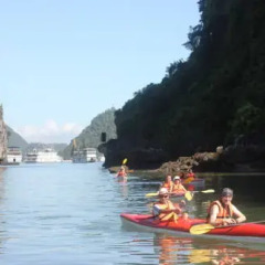 Отель Halong Dolphin Cruise 3* Стандартный номер с различными типами кроватей фото 5