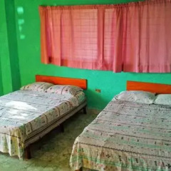 Отель Casa De Huespedes El Tesoro Стандартный номер с различными типами кроватей