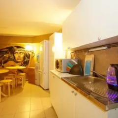 Faraon Hostel Стандартный номер с различными типами кроватей фото 8